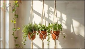 macrame plant hangers for herbs macrame plant hangers for herbs