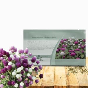 Outsidepride Mixed Gomphrena Seeds B09R6TZLS4