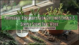 propagate rosemary from cuttings easily propagate rosemary from cuttings easily