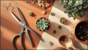 pruning, maintenance, and repotting pruning, maintenance, and repotting