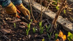 removing dead plant material and debris removing dead plant material and debris