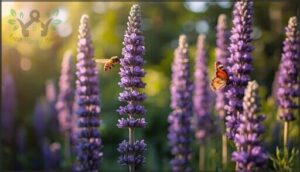 anise hyssop (agastache foeniculum) anise hyssop (agastache foeniculum)