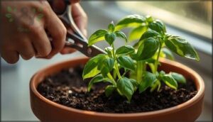 avoiding damage to plants avoiding damage to plants