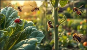 beneficial insects for pest control beneficial insects for pest control