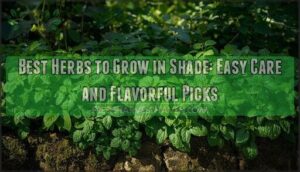 best herbs to grow in shade
