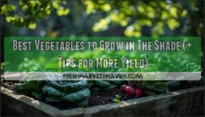 best vegetables to grow in the shade best vegetables to grow in the shade