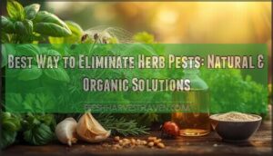 best way to eliminate herb pests best way to eliminate herb pests