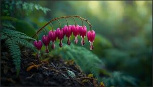 bleeding heart – unique shaped flowers bleeding heart – unique shaped flowers