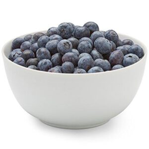 Blueberries, 1 Pint B003AYKYIG