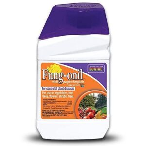 Bonide Fung onil Multi Purpose Fungicide, 16 B000A0YHGS