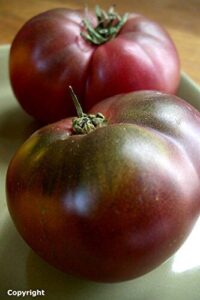 Cherokee Purple Heirloom Tomato Seeds B00PJ38I8Y