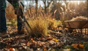 cleaning up perennial beds cleaning up perennial beds