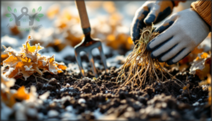 clearing weeds and dead plant material clearing weeds and dead plant material