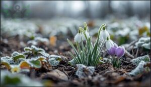 cold-hardy bulbs and ground covers cold-hardy bulbs and ground covers