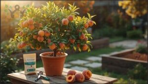 dwarf peach and nectarine trees dwarf peach and nectarine trees