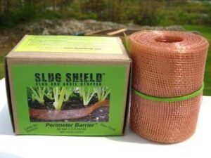 Elogio Doormat Indoor Outdoor Doormats B00J2VZS1Y