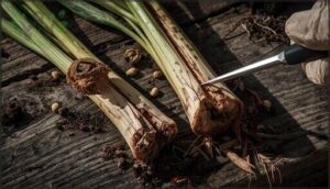 examine stems for cracks, galls, and dark tissue examine stems for cracks, galls, and dark tissue