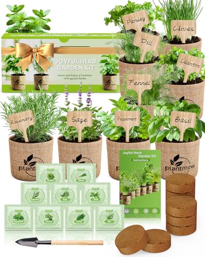 Herb Seeds Variety Pack –