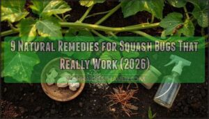 natural remedies for squash bugs