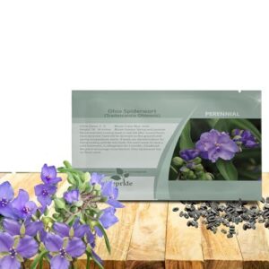 Outsidepride Spiderwort Seeds 2000 B004UC3ESY