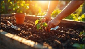 plant tomatoes for hot weather success plant tomatoes for hot weather success