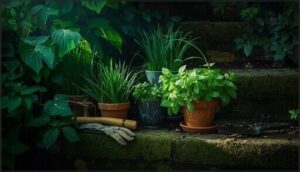 planting and caring for shade herbs planting and caring for shade herbs