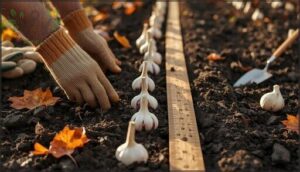 planting depth and spacing guidelines planting depth and spacing guidelines