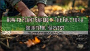 planting garlic in the fall garden