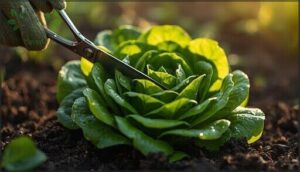 preventing damage to regrowth points preventing damage to regrowth points