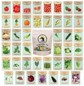 Set of 43 Assorted Vegetable B06XDT5MLT