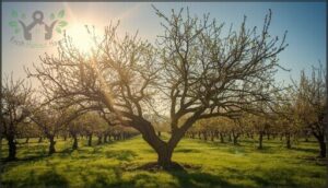 shaping for sunlight and airflow shaping for sunlight and airflow