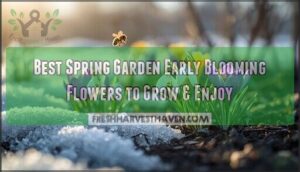 spring garden early blooming flowers spring garden early blooming flowers