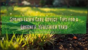 spring lawn care advice spring lawn care advice