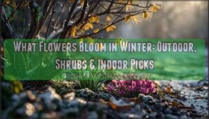 what flowers bloom in winter