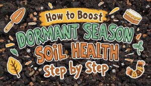 dormant season garden soil health dormant season garden soil health