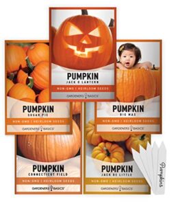 Gardeners Basics, Pumpkin Seeds to B09WB1VKSX