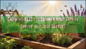 growing herbs in summer heat growing herbs in summer heat