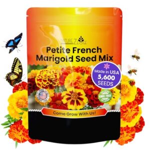 NatureZ Edge Marigold Seeds Mix, B08D7SDXHM