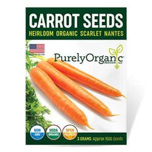 Organic Carrot Seeds (Scarlet Nantes) B08YS9P2H3