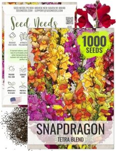 Seed Needs, Mixed Tetra Snapdragon B01CWI74CY