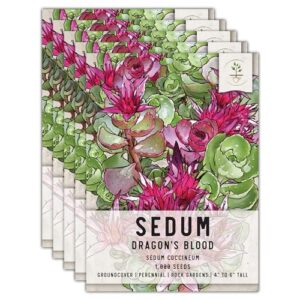 Seed Needs Sedum Seeds for B0CBR4L9TK