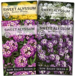 Sow Right Seeds Sweet B0D688KZ6T