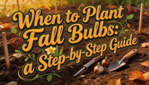 when to plant fall bulbs when to plant fall bulbs