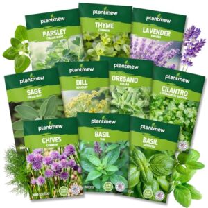 10 Herb Seeds Variety Pack B0FND2CVRP