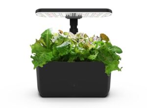 AeroGarden Harvest Lite in Black, B0CTRV8ZBZ