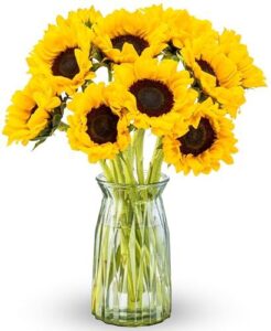 Benchmark Bouquets Sunflowers B00KWX4TSE