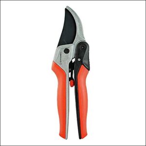 Corona RP 4224D RatchetCUT Rachet B01M0UL5BG