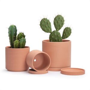 D'vine Dev Terracotta Pots for B08K2G1G5M