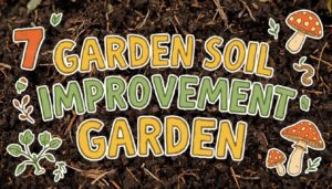 garden soil improvement tips garden soil improvement tips
