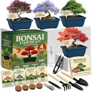 HOME GROWN Bonsai Tree Starter B0FQ5M335R